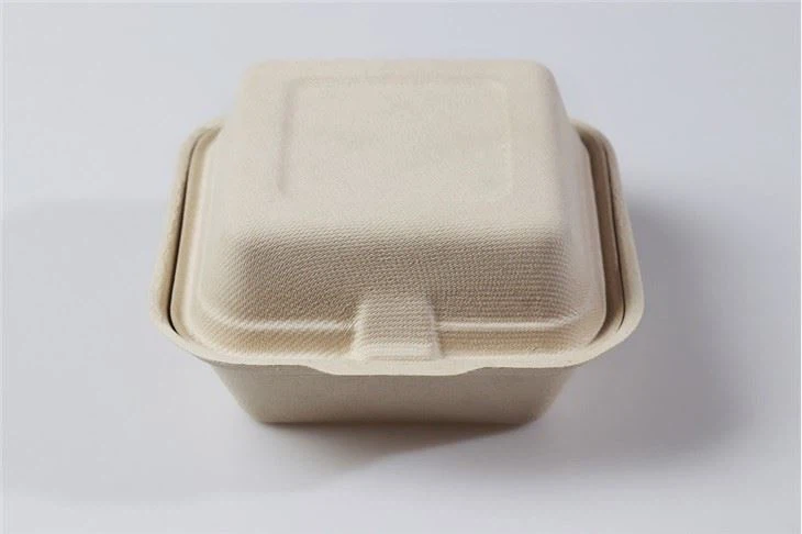 Molded Fiber Pulp Clamshell Sustainable